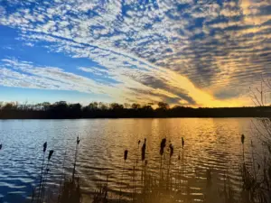 Photo by: Addie Fletcher