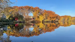 Pictures of Spy Pond